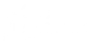 Best Dam Tape logo